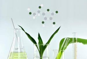 INGREDIENTS IN COSMETICS