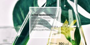 INGREDIENTS IN COSMETICS